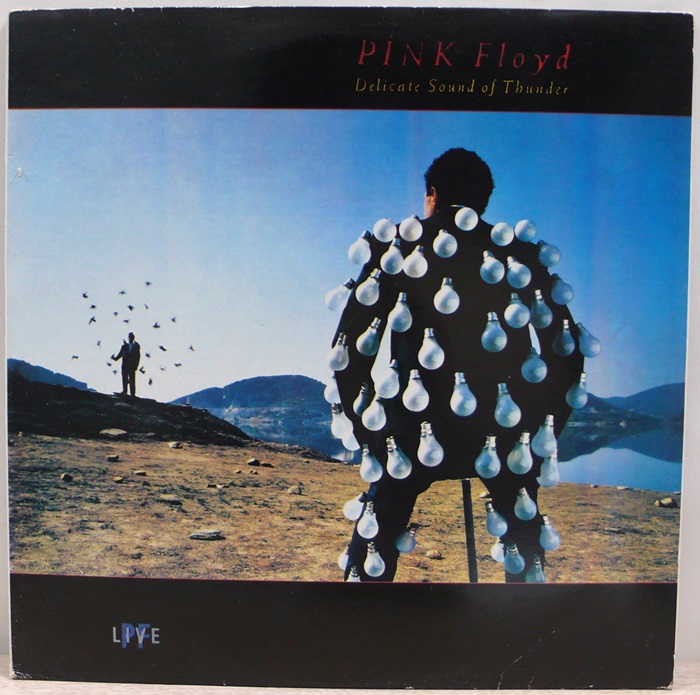 PINK FLOYD / DELICATE SOUND OF THUNDER LIVE 2LP