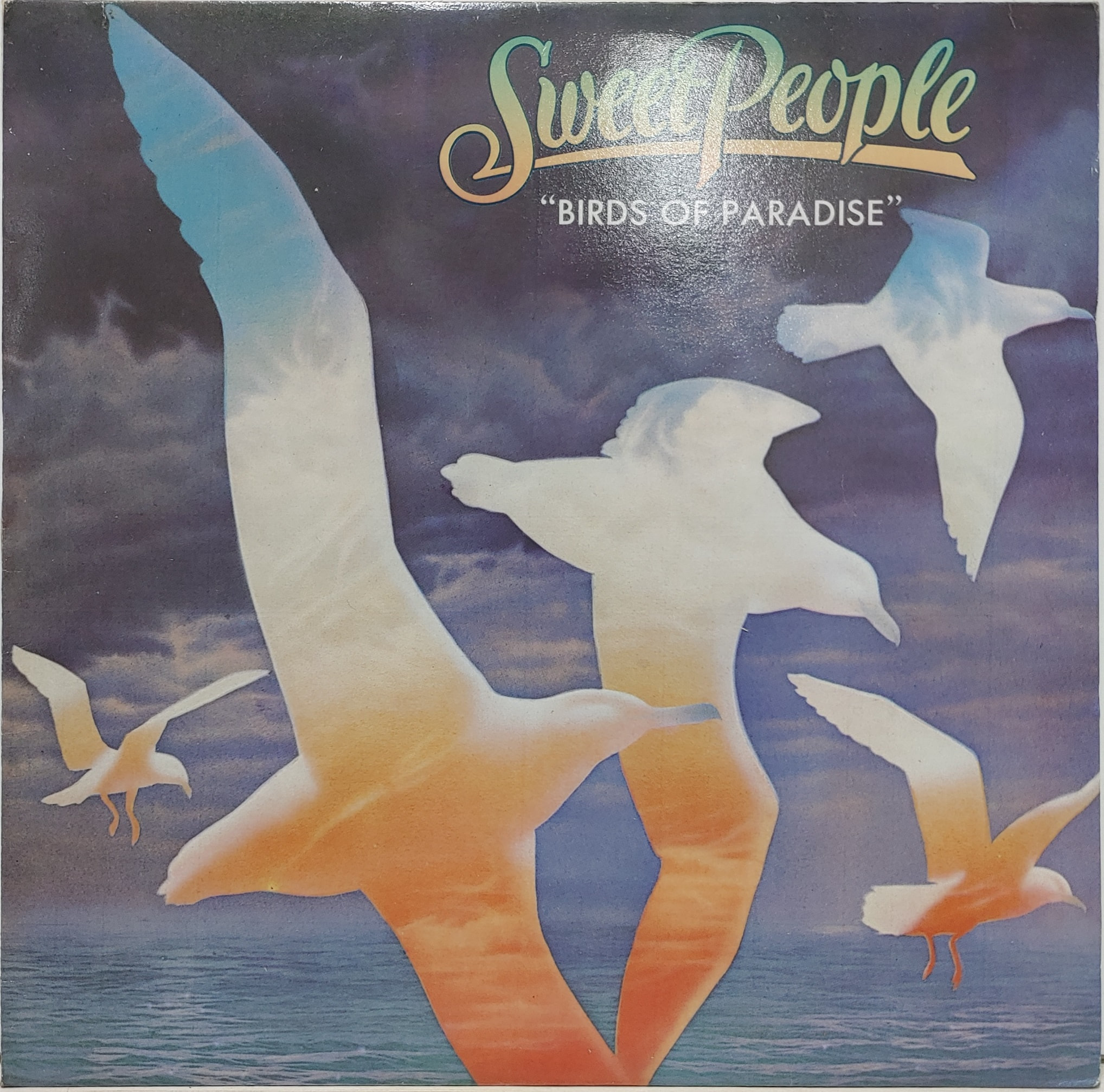 SWEET PEOPLE / BIRDS OF PARADISE