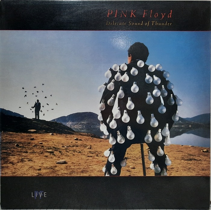 PINK FLOYD / DELICATE SOUND OF THUNDER LIVE 2LP(GF)