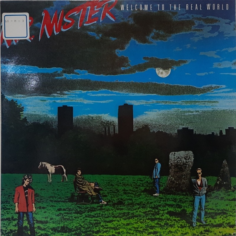MR.MISTER / WELCOME TO THE REAL WORLD