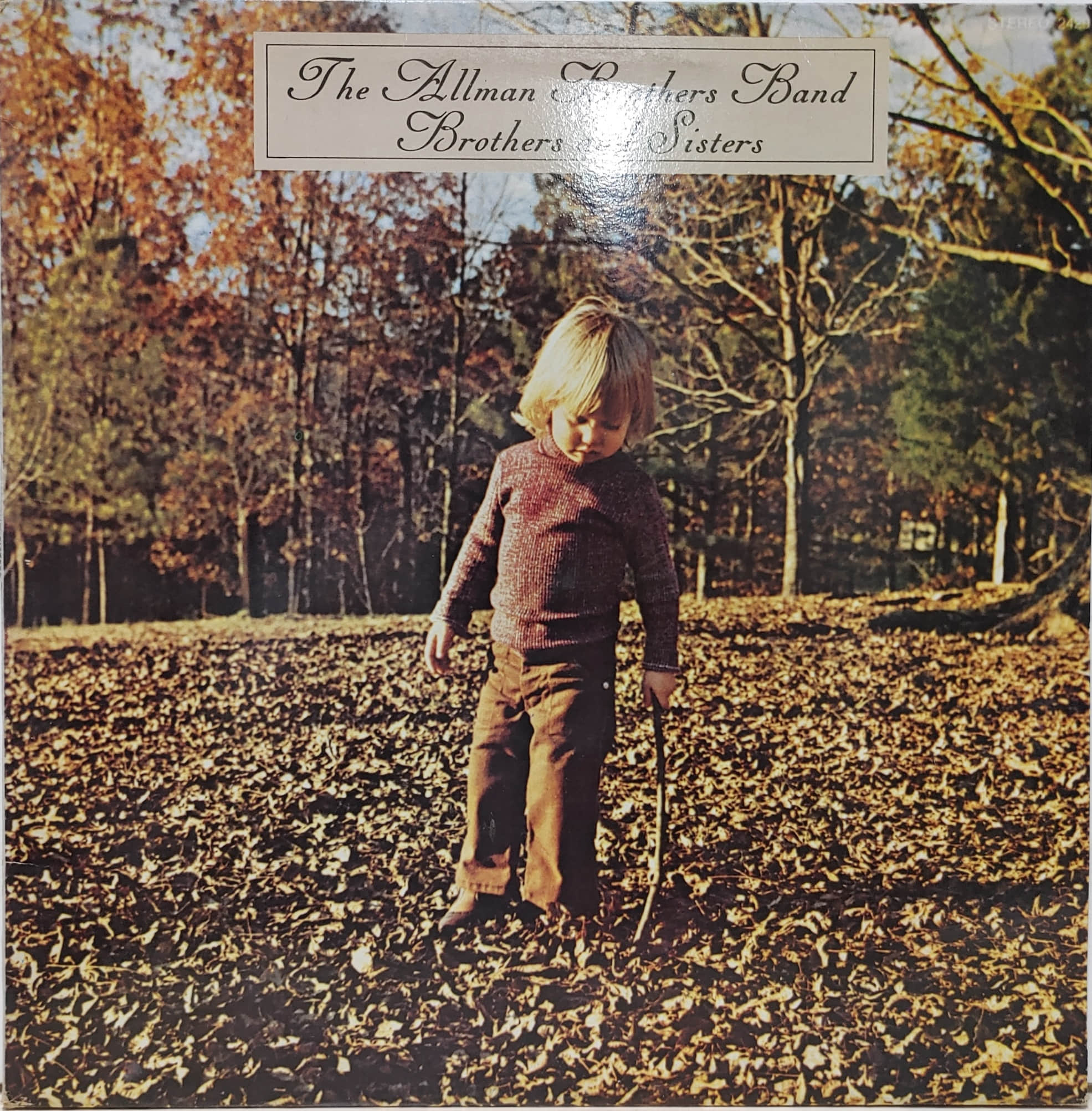 THE ALLMAN BROTHERS BAND / BROTHER AND SISTERS