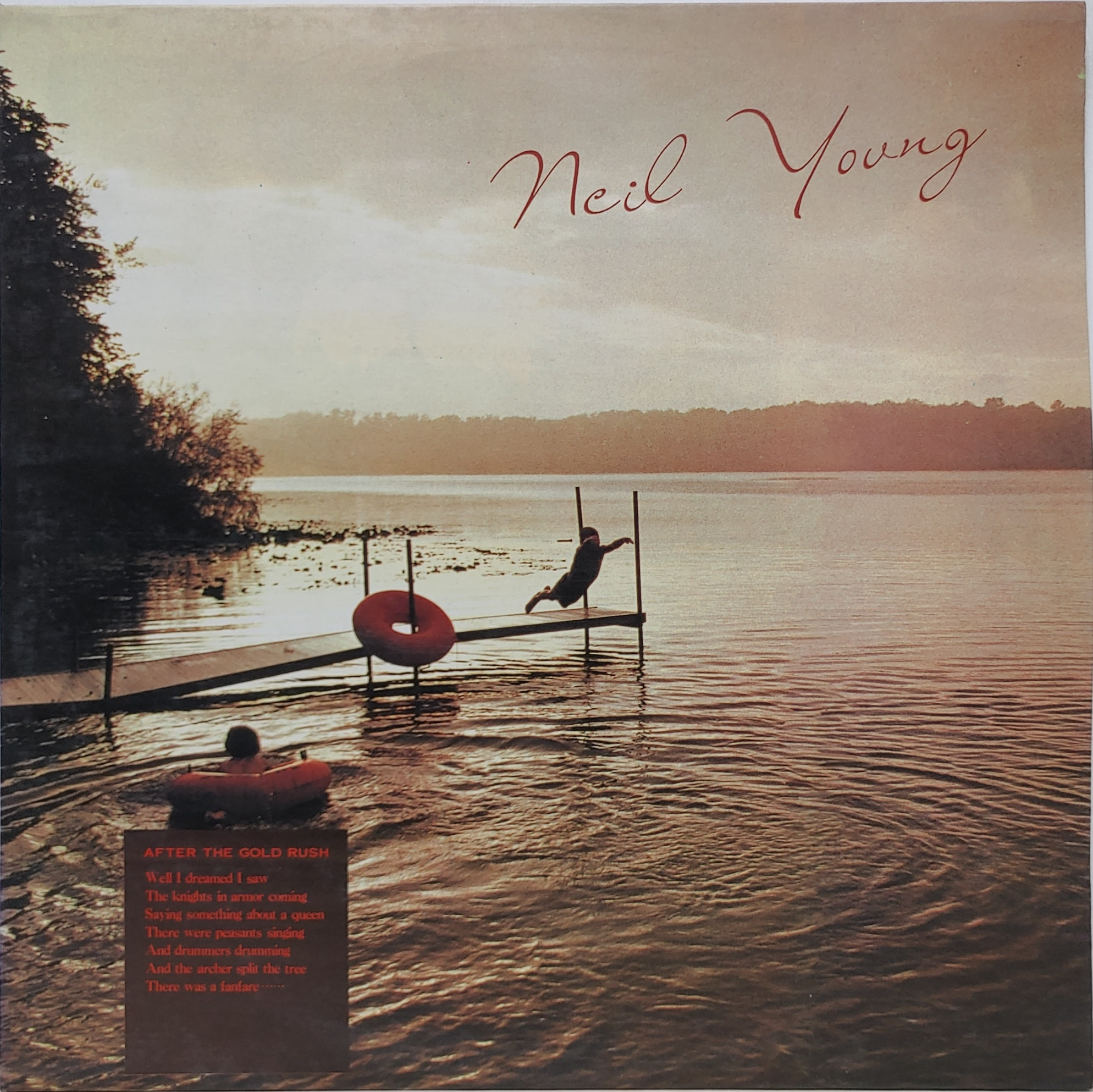 NEIL YOUNG / THE WORLD OF NEIL YOUNG