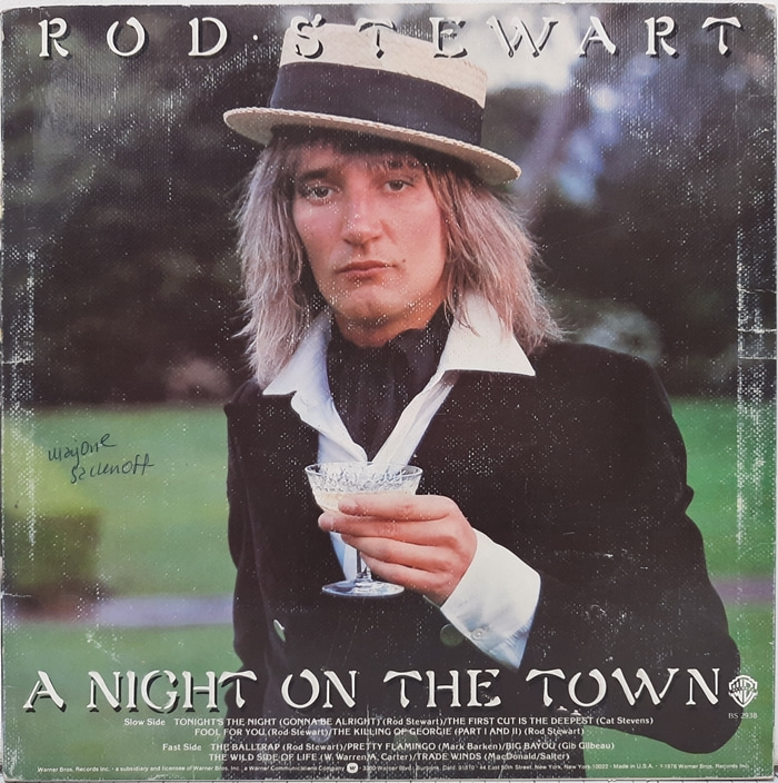 ROD STEWART / A NIGHT ON THE TOWN(수입)