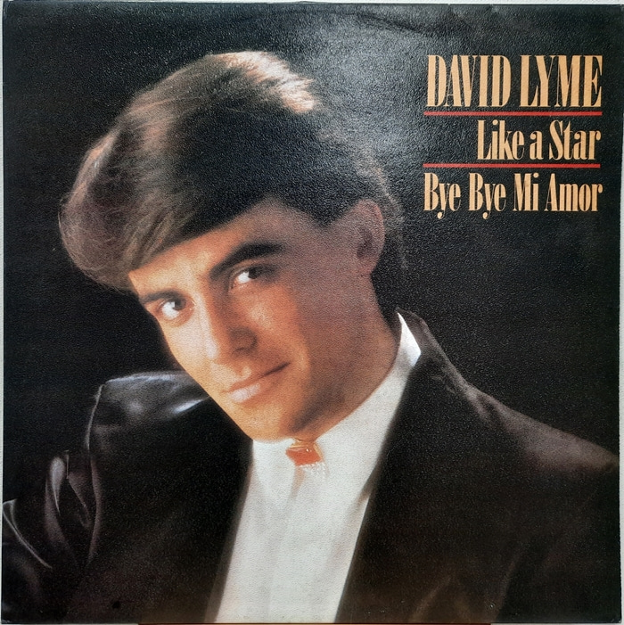 DAVID LYME / LIKE A STAR BYE BYE MI AMOR