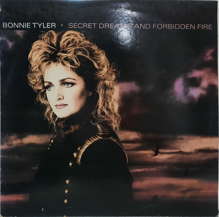 BONNIE TYLER / SECRET DREAMS AND FORBIDDEN FIRE