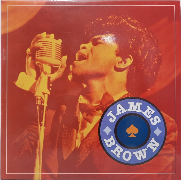 JAMES BROWN / GOODBYE MY LOVE LOST SOME ONE