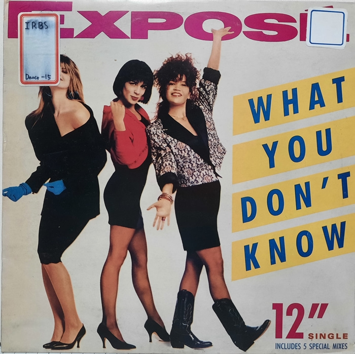 EXPOSE / WHAT YOU DON&#039;T KNOW(카피음반)