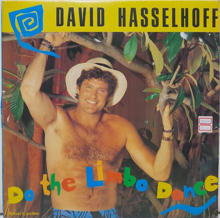 DAVID HASSELHOFF / Do the Limbo Dance(카피음반)