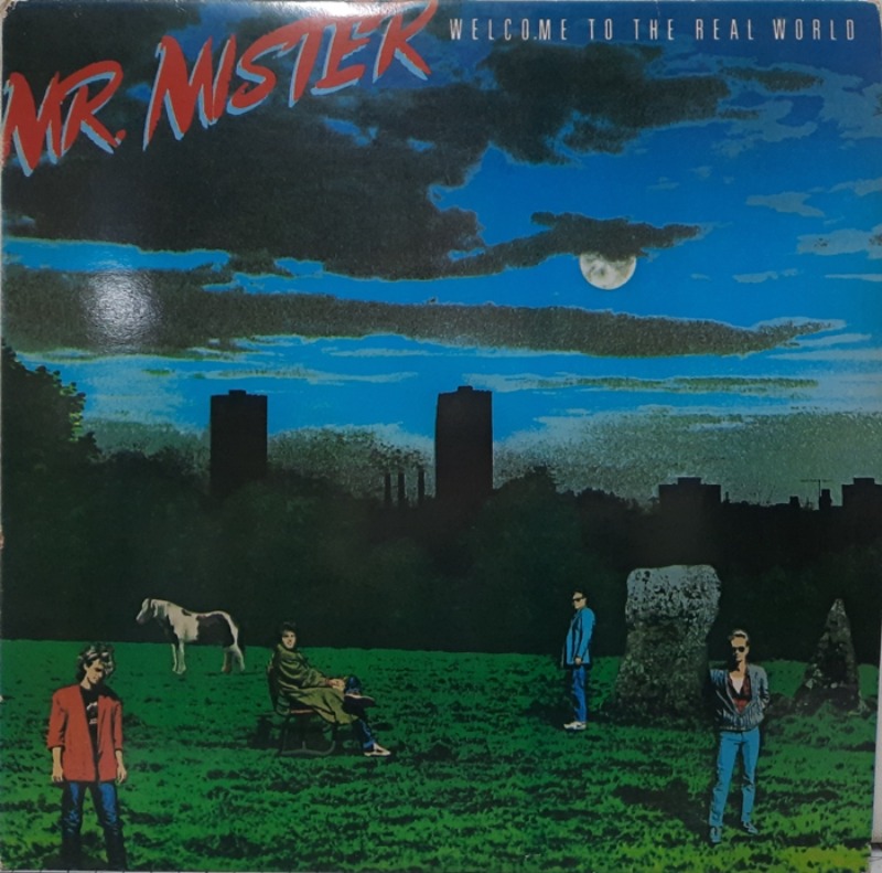 MR.MISTER / WELCOME TO THE REAL WORLD