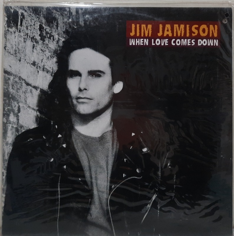 JIM JAMISON / WHEN LOVE COMES DOWN(미개봉)