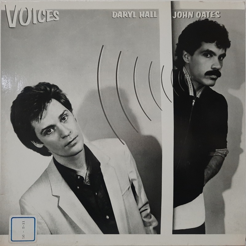 DARYL HALL &amp; JOHN OATES / VOICES
